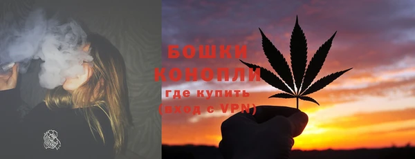 ПСИЛОЦИБИНОВЫЕ ГРИБЫ Алексеевка