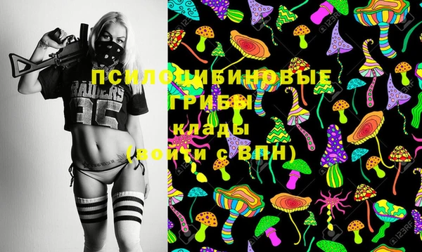 ГАЛЛЮЦИНОГЕННЫЕ ГРИБЫ Алзамай