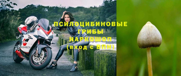ГАЛЛЮЦИНОГЕННЫЕ ГРИБЫ Алзамай