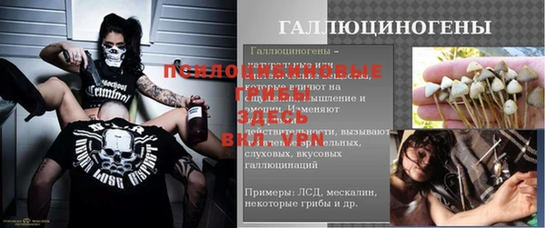 ПСИЛОЦИБИНОВЫЕ ГРИБЫ Алексеевка
