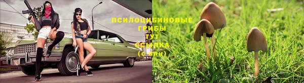 ГАЛЛЮЦИНОГЕННЫЕ ГРИБЫ Алзамай