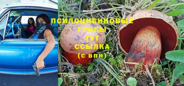 ГАЛЛЮЦИНОГЕННЫЕ ГРИБЫ Алзамай